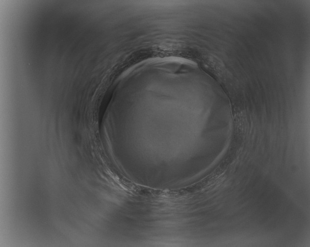 X0000067461009200604211535