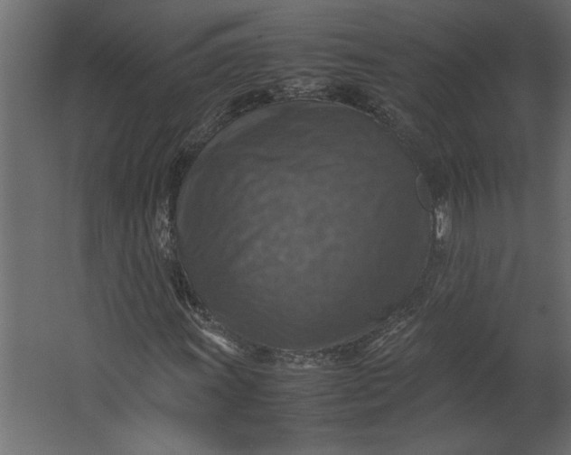 X0000067461011200604211535