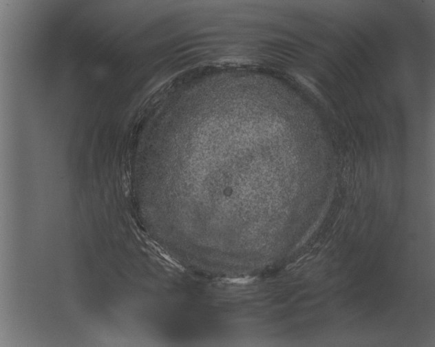 X0000067461015200604211535