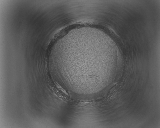 X0000067461016200604211535