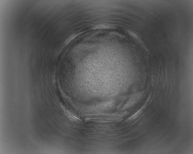 X0000067461017200604211535