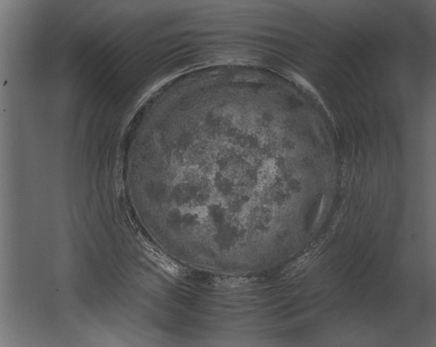 X0000067461019200604211535