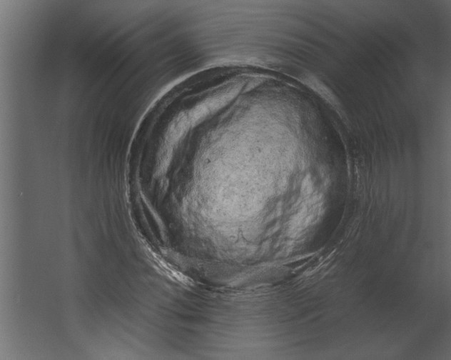 X0000067461020200604211535