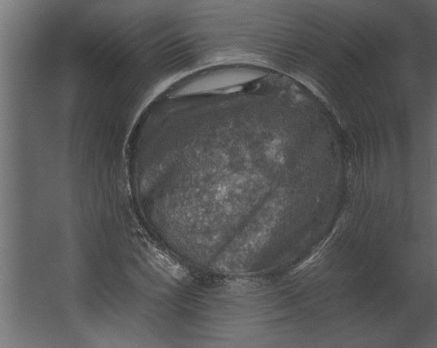 X0000067461022200604211535