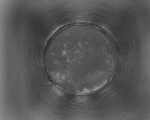 X0000067461023200604211535