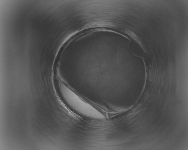 X0000067461024200604211535