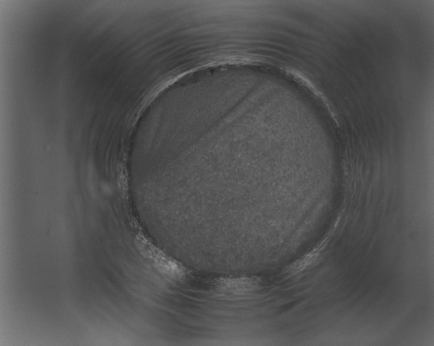 X0000067461025200604211535