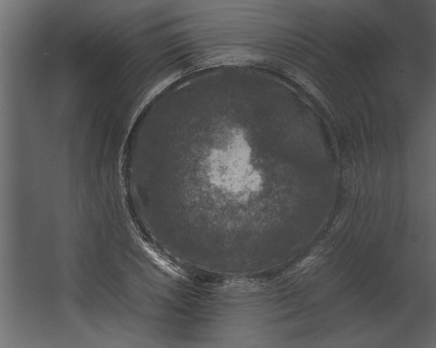 X0000067461026200604211535