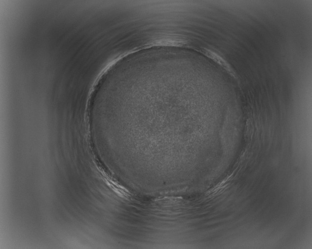 X0000067461027200604211535