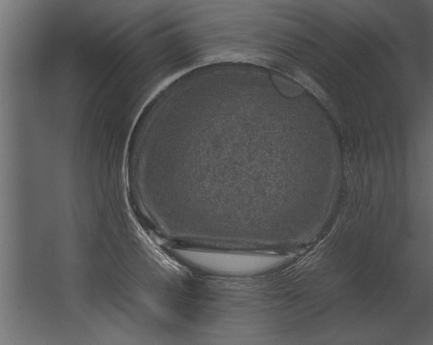 X0000067461028200604211535