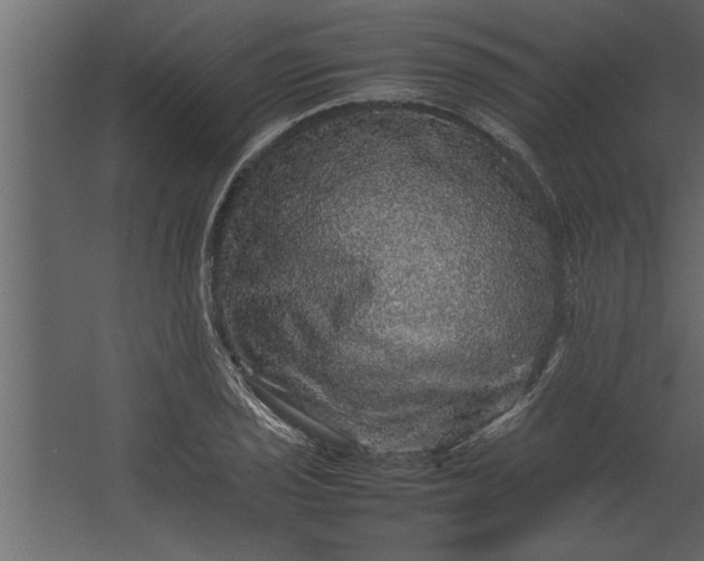 X0000067461029200604211535