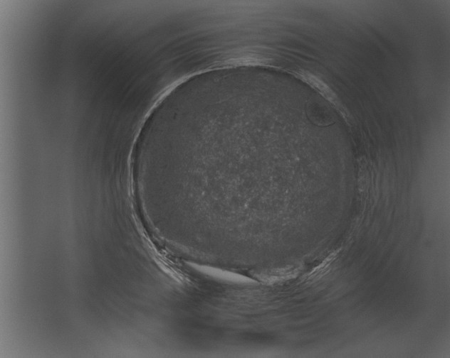 X0000067461031200604211535