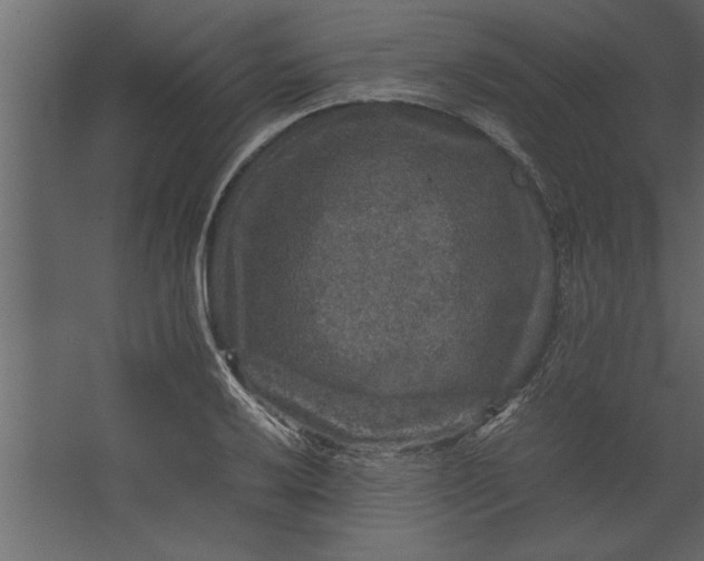 X0000067461032200604211535