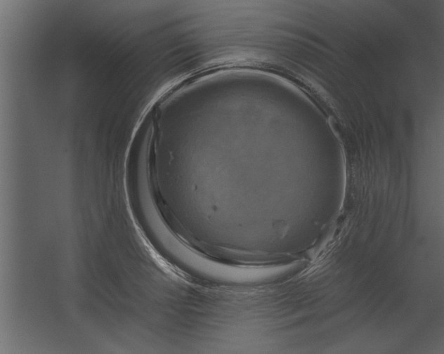 X0000067461034200604211536