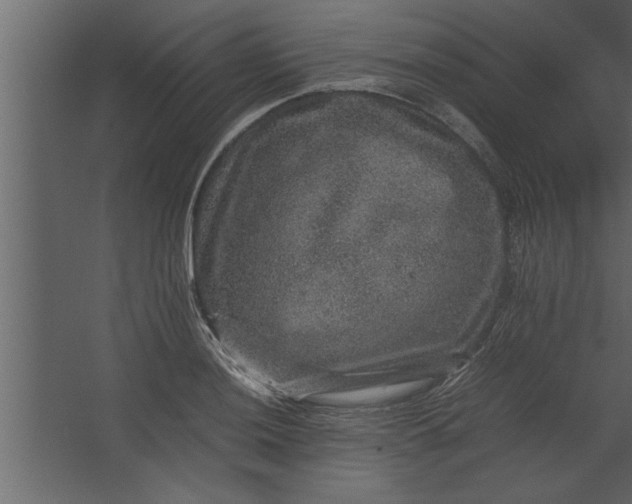 X0000067461036200604211536