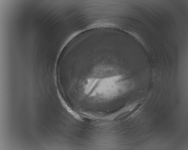 X0000067461038200604211536