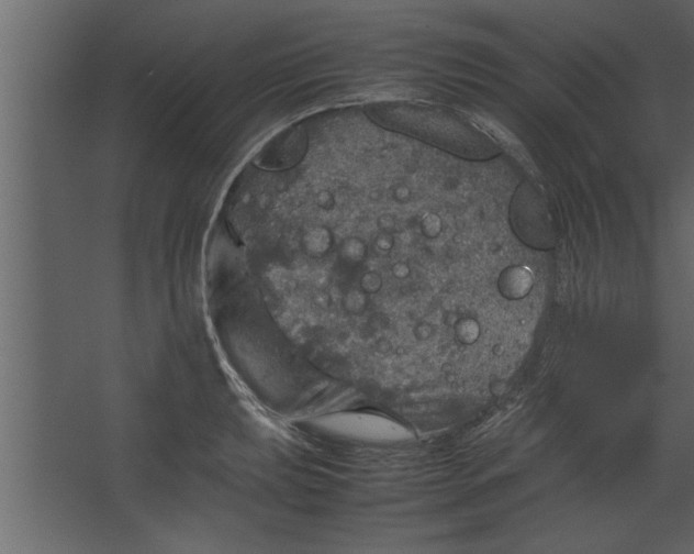 X0000067461039200604211536