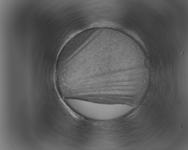 X0000067461040200604211536