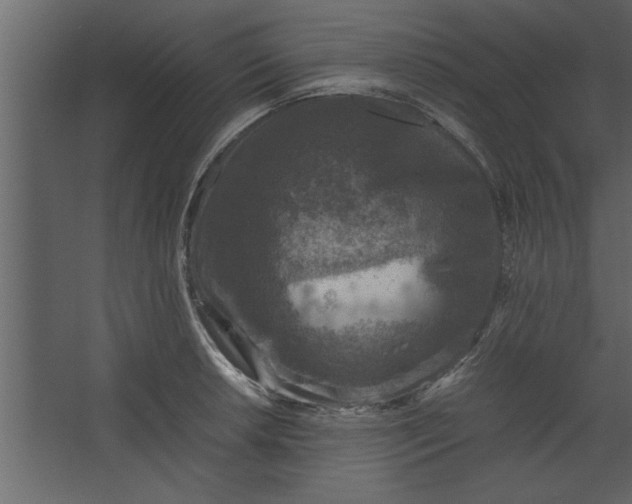 X0000067461042200604211536