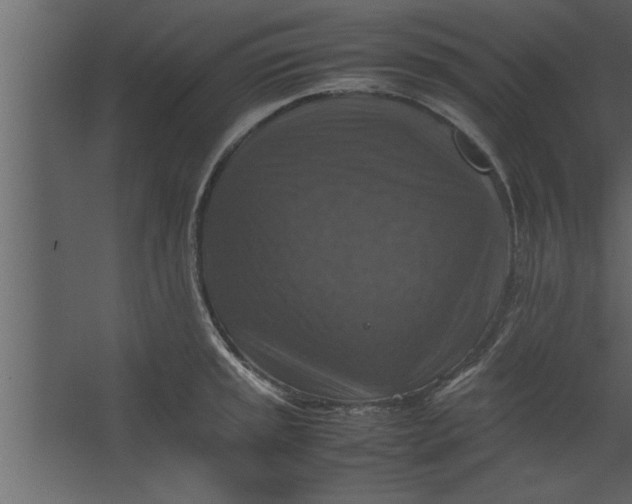 X0000067461045200604211536