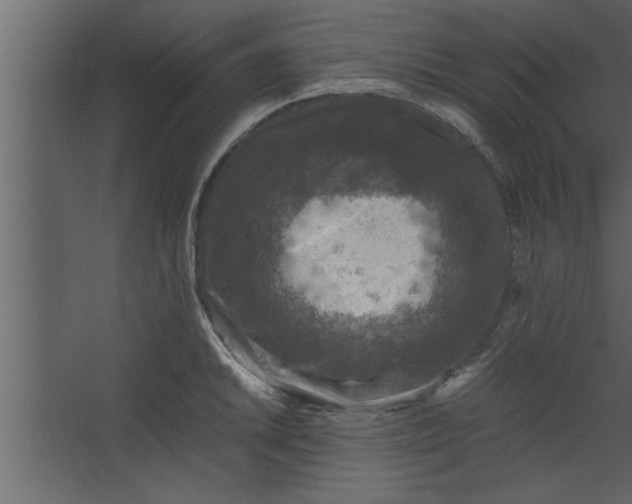 X0000067461046200604211536