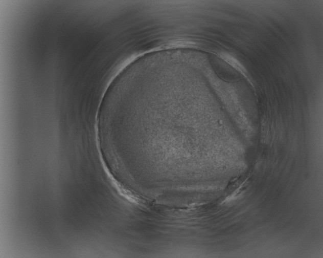 X0000067461047200604211536