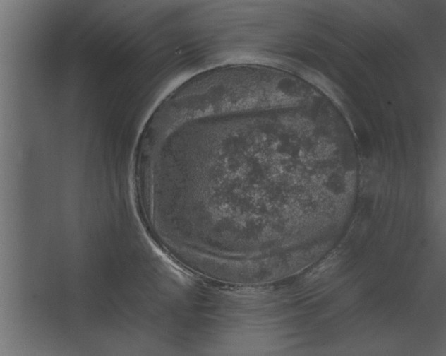 X0000067461048200604211536