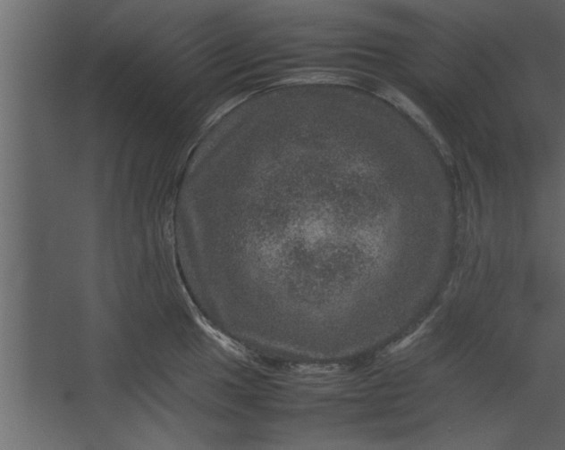 X0000067461049200604211536