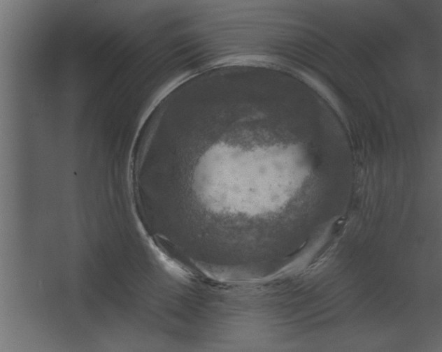 X0000067461050200604211536