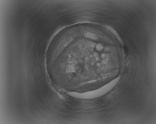 X0000067461051200604211536