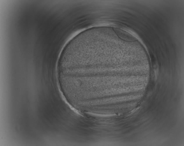 X0000067461053200604211536