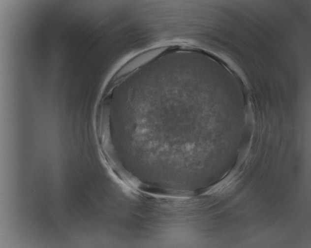 X0000067461054200604211536