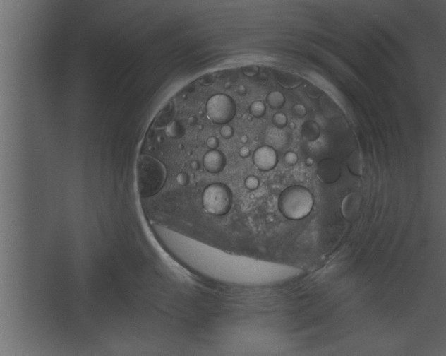 X0000067461055200604211536