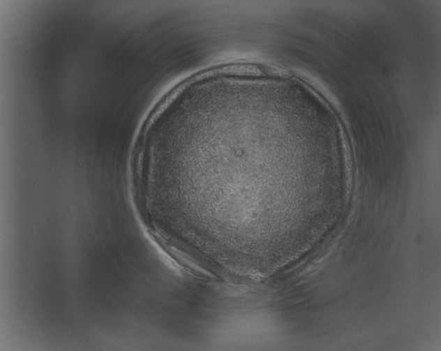 X0000067461056200604211536