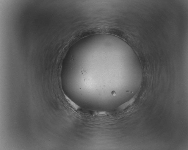 X0000067461057200604211535