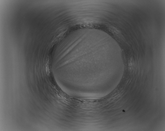 X0000067461060200604211535