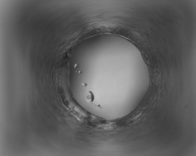 X0000067461061200604211535