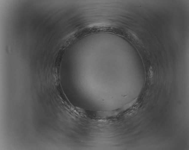 X0000067461062200604211535