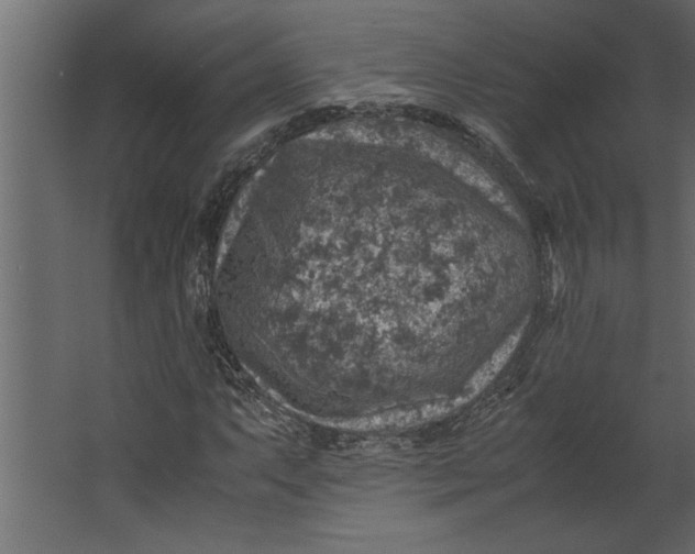 X0000067461063200604211535