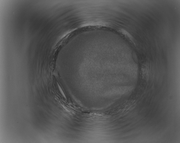 X0000067461064200604211535