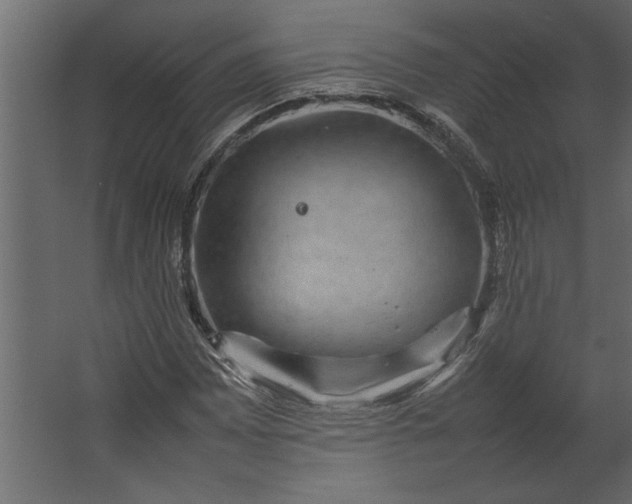 X0000067461065200604211535