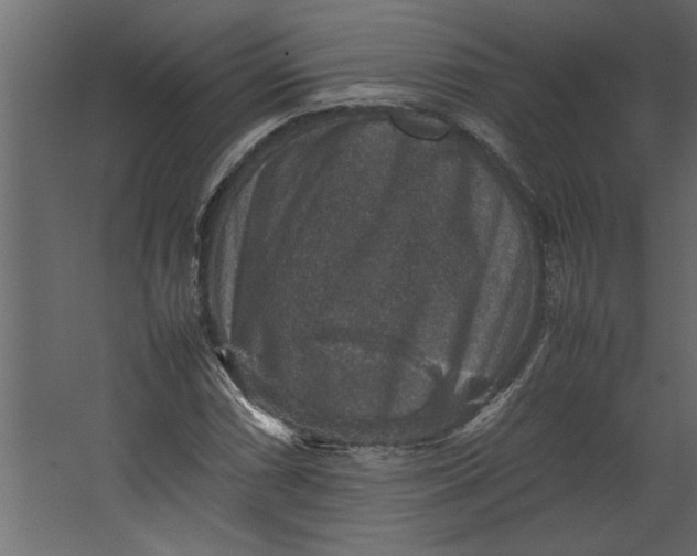 X0000067461066200604211535