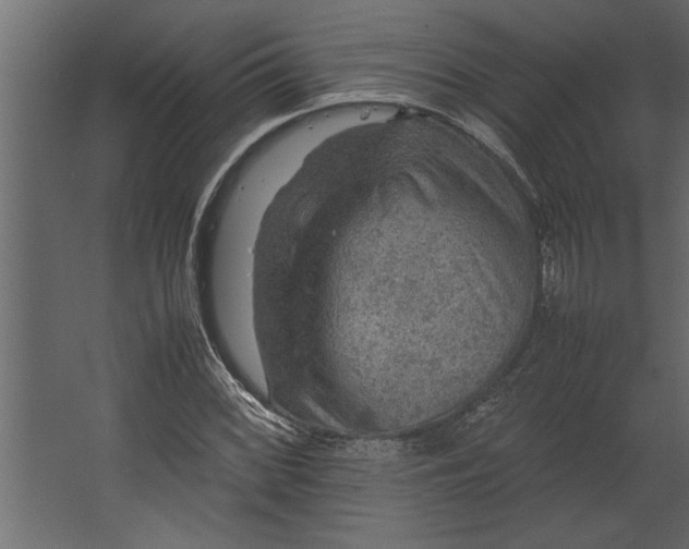 X0000067461068200604211535