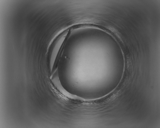 X0000067461069200604211535