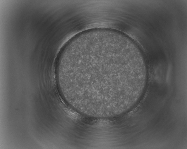 X0000067461070200604211535