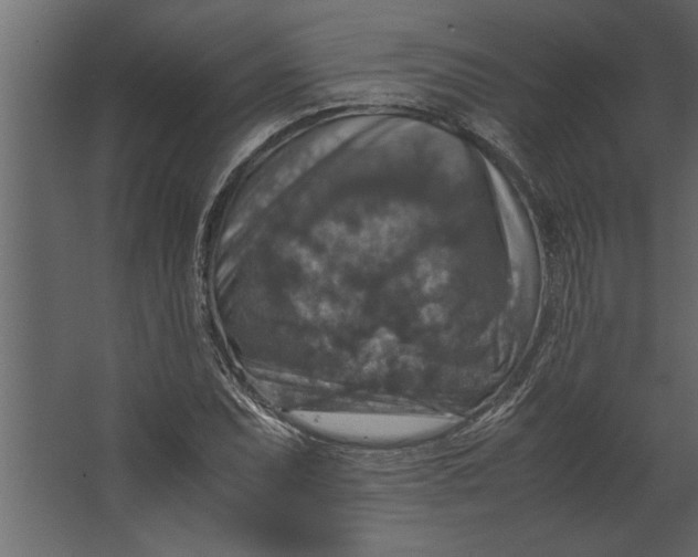 X0000067461071200604211535