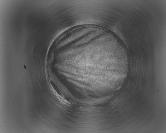 X0000067461072200604211535