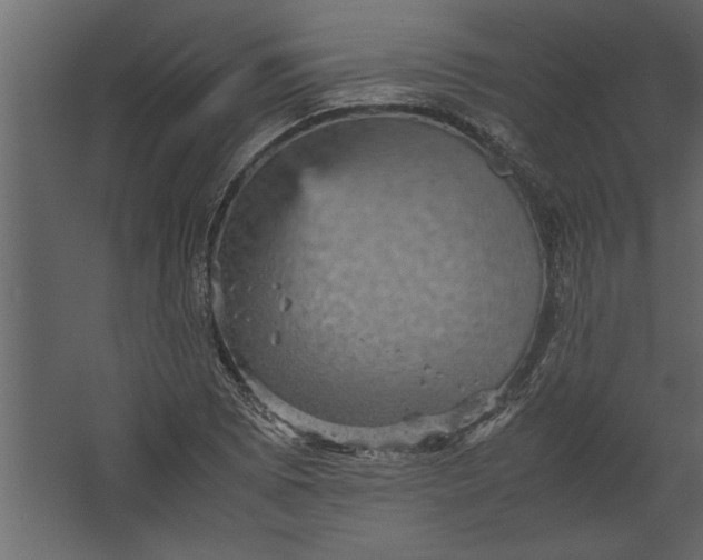 X0000067461073200604211535