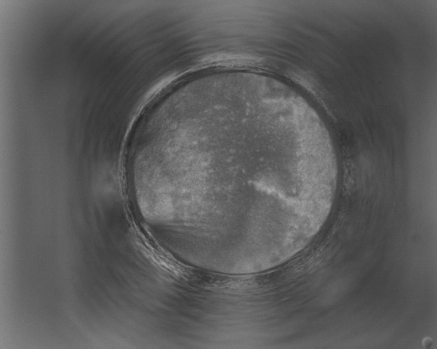 X0000067461074200604211535