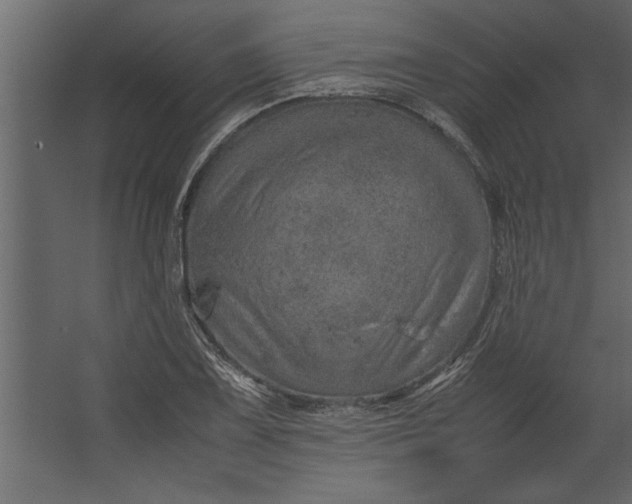 X0000067461075200604211535